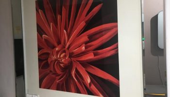 Red Flower Mirror Framed Picture
